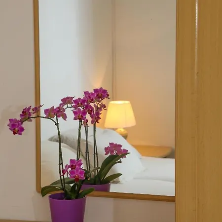 Butkovic Maison d'hôtes Hvar Town